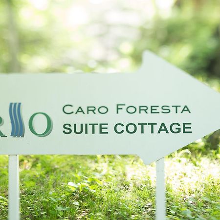 Caro Foresta Kita Karuizawa Rio Hotel Tsumagoi Ngoại thất bức ảnh